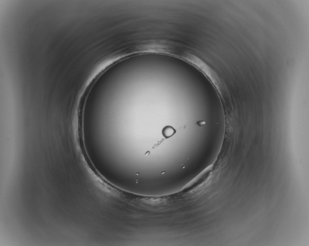 X0000111351147200907101205
