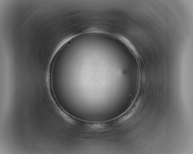 X0000111351149200907101205