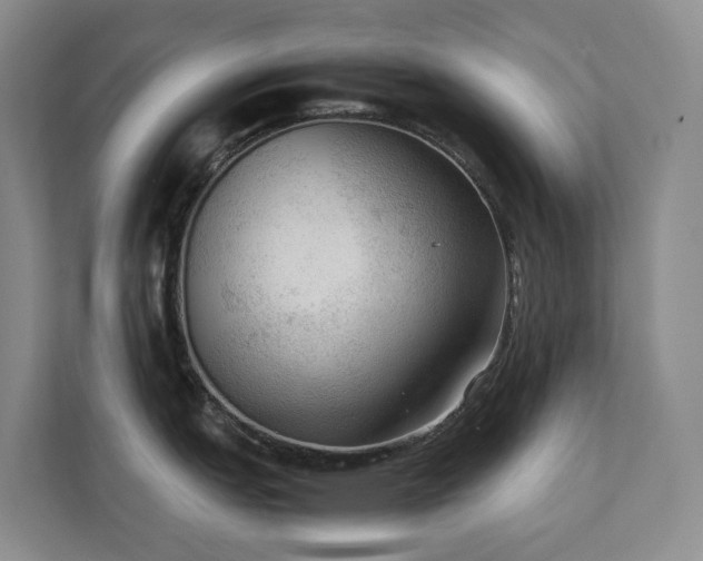X0000111351151200907101205