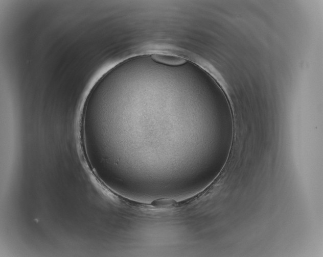 X0000111351152200907101205