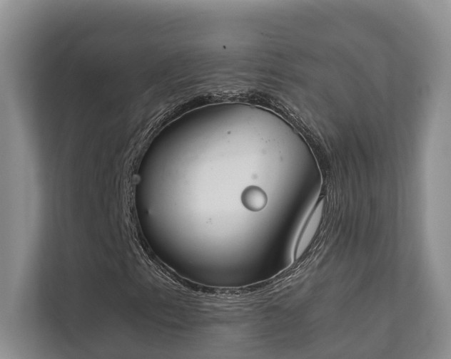 X0000111351153200907101204