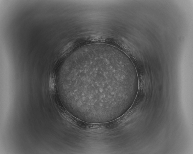 X0000111351154200907101204