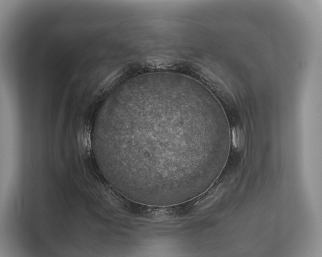 X0000111351155200907101204