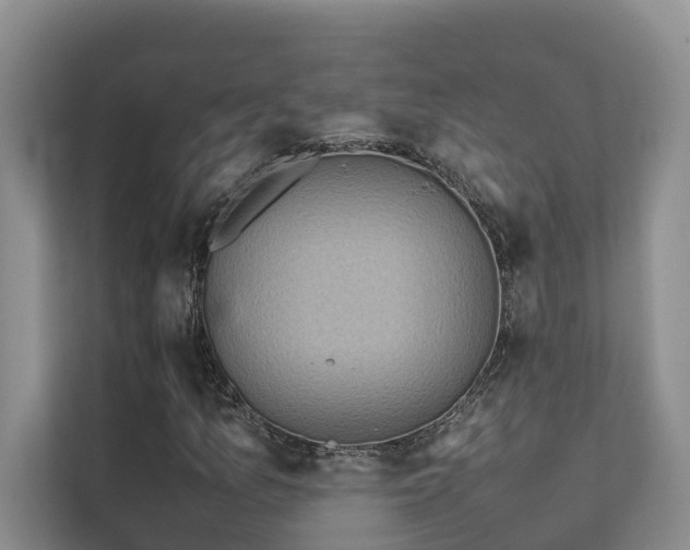 X0000111351157200907101204