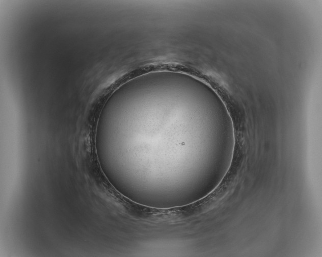 X0000111351159200907101204