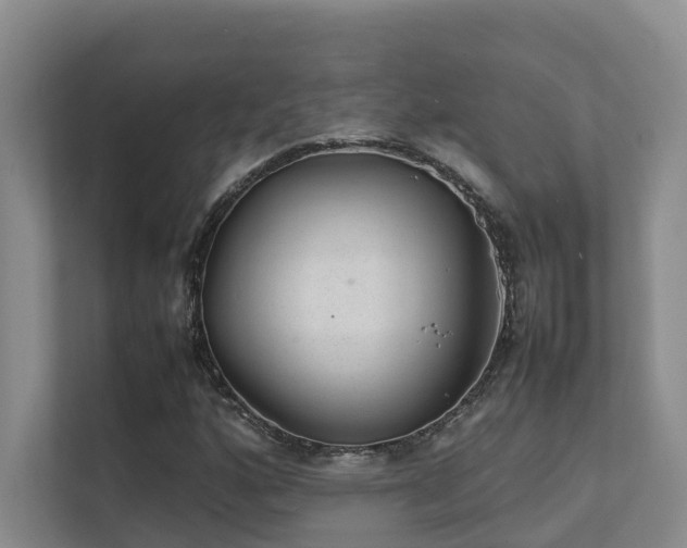 X0000111351160200907101204