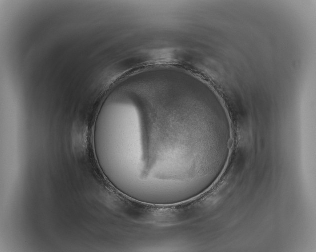 X0000111351161200907101204