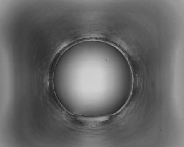 X0000111351165200907101204