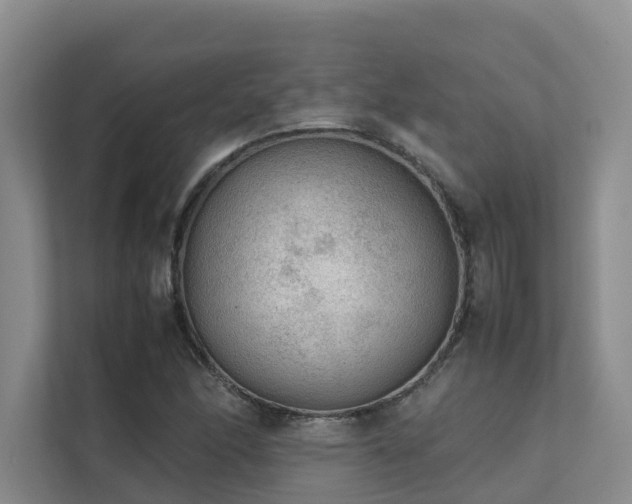 X0000111351166200907101204