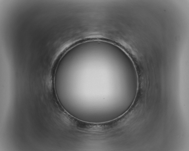 X0000111351167200907101204