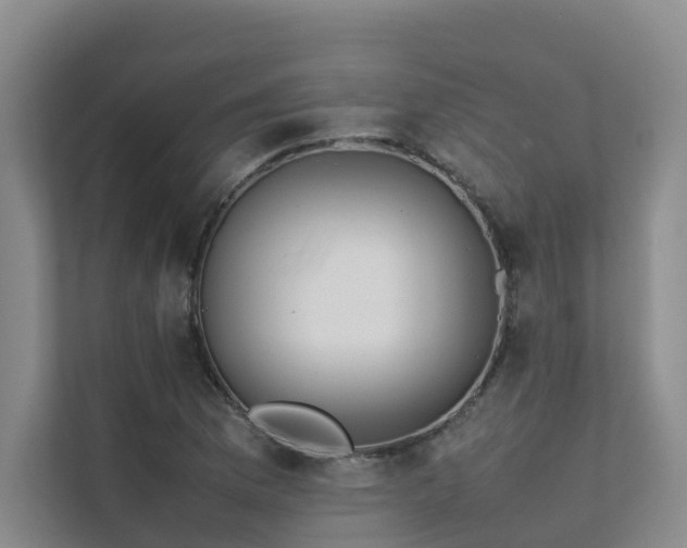 X0000111351169200907101204
