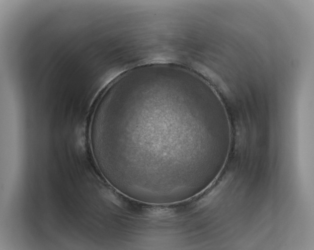 X0000111351170200907101204