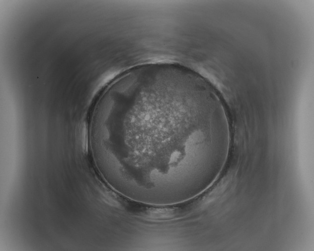 X0000111351171200907101204