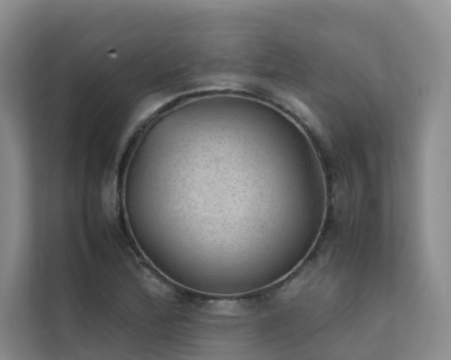 X0000111351172200907101204