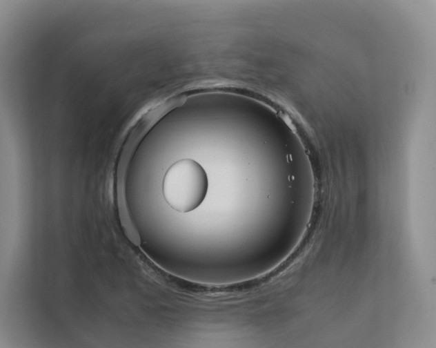 X0000111351173200907101204