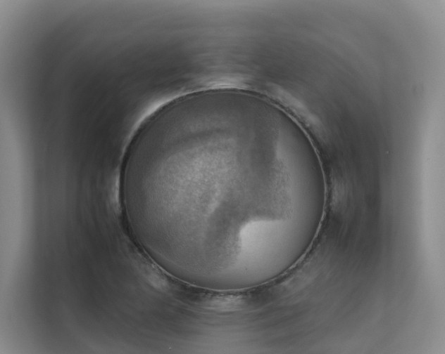 X0000111351174200907101204