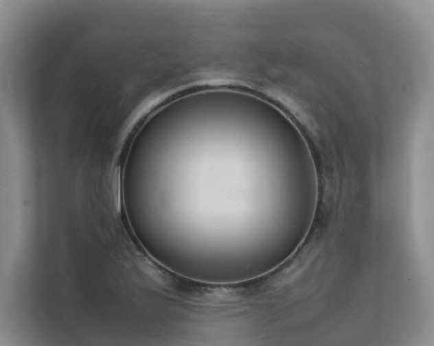 X0000111351175200907101204