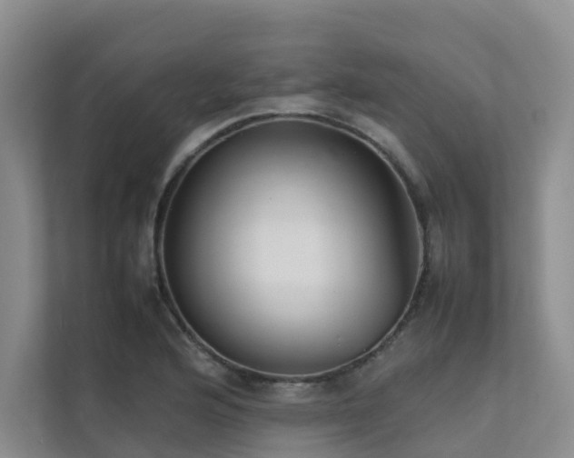 X0000111351176200907101204