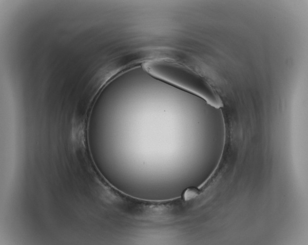 X0000111351177200907101204
