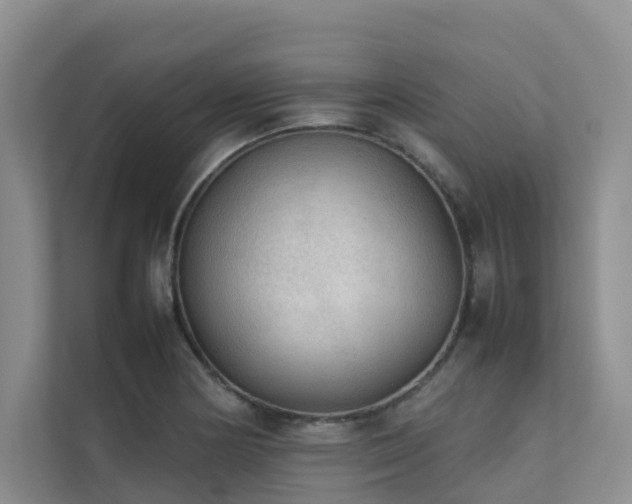 X0000111351178200907101204