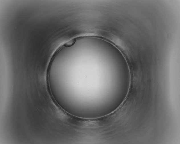 X0000111351181200907101204