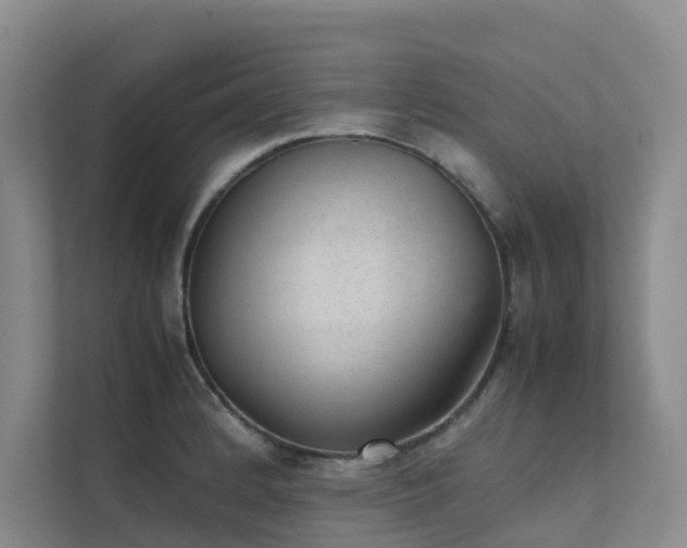 X0000111351184200907101204