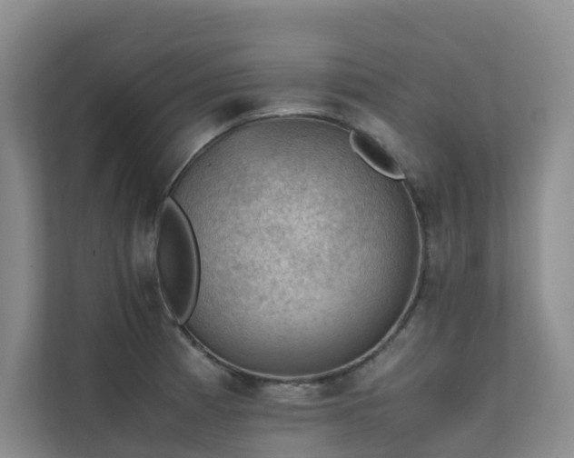 X0000111351185200907101204