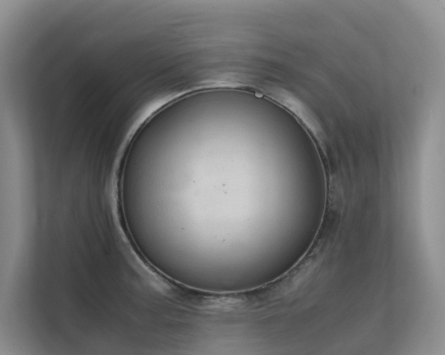 X0000111351187200907101204
