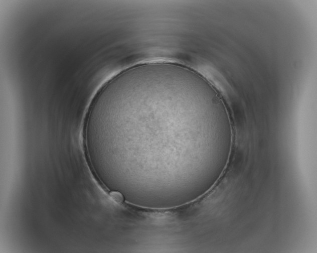 X0000111351189200907101203
