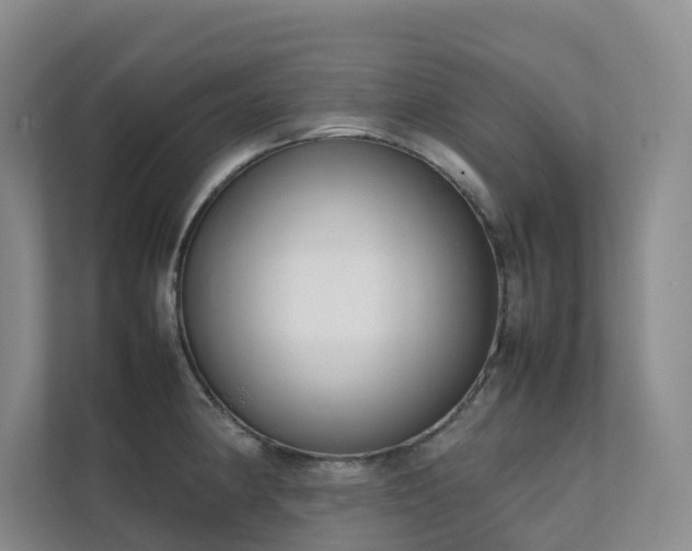X0000111351190200907101203