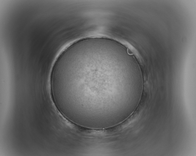 X0000111351191200907101203