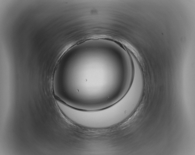 X0000111351193200907101203