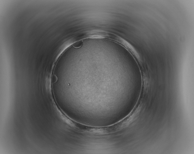 X0000111351194200907101203