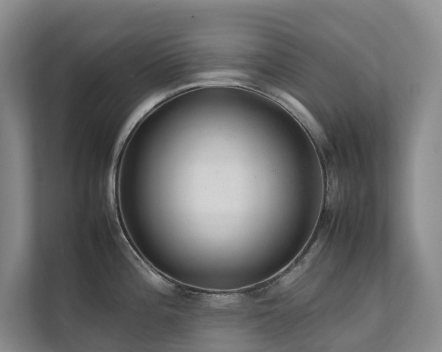 X0000111351196200907101203