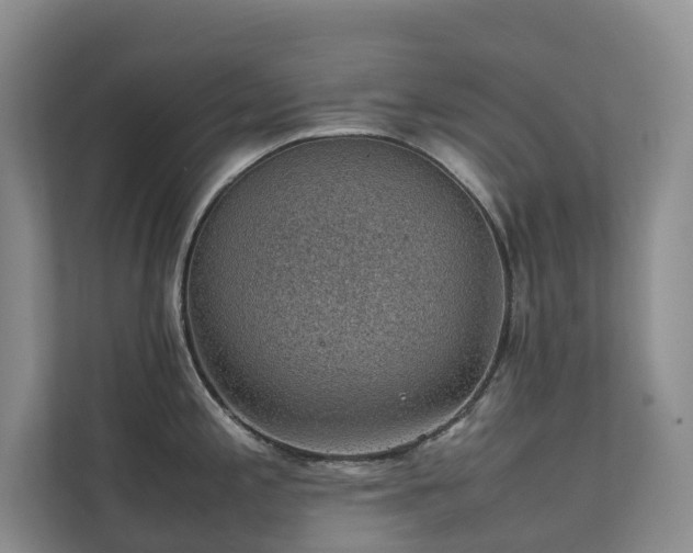 X0000111351197200907101203