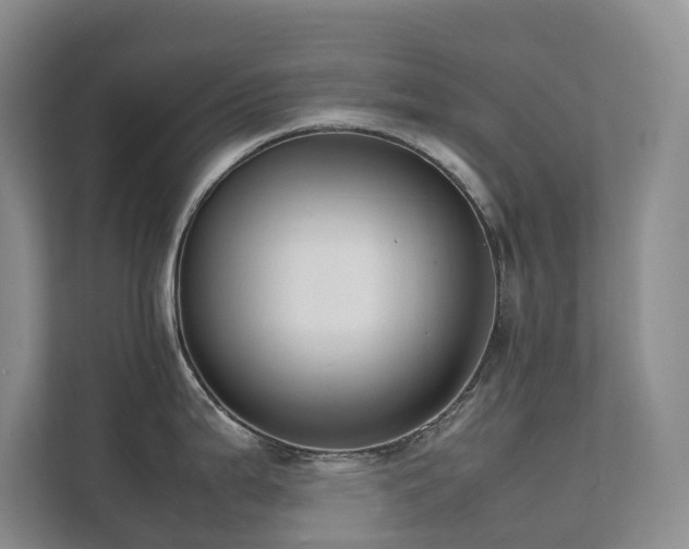 X0000111351199200907101203