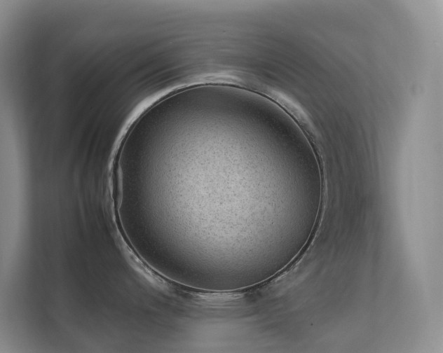 X0000111351200200907101203