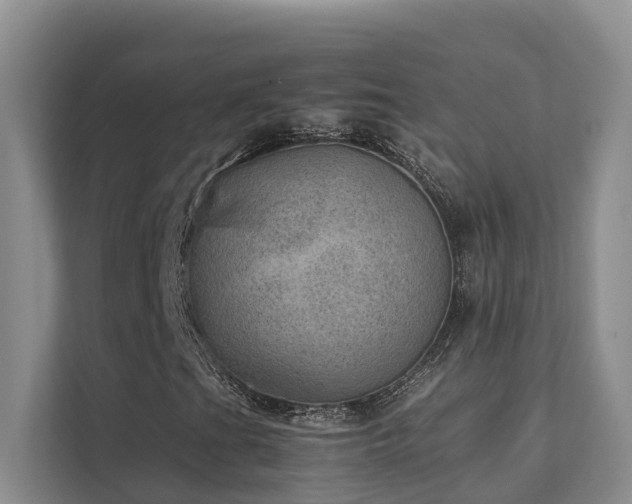 X0000111351201200907101203