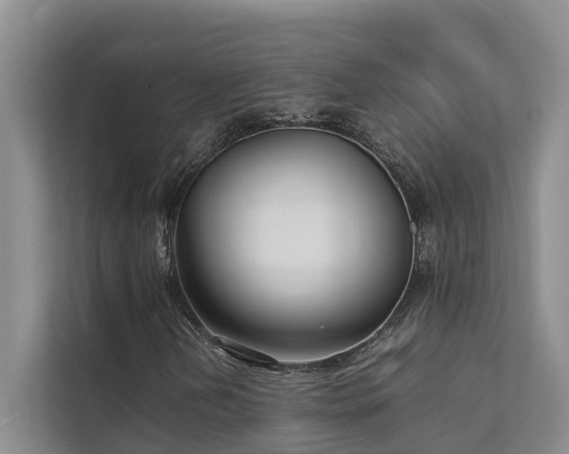 X0000111351202200907101203