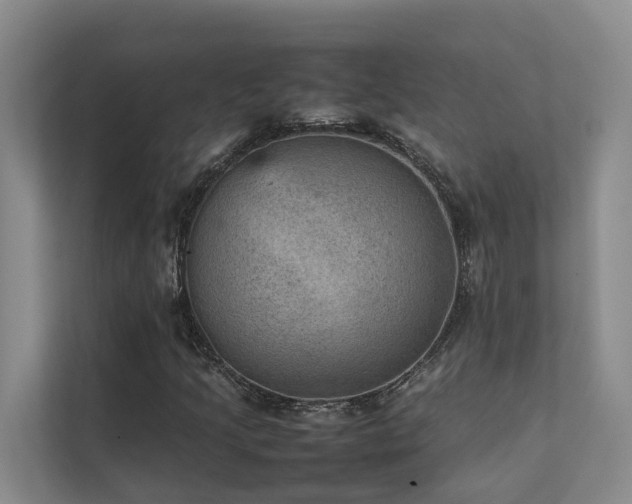X0000111351205200907101203