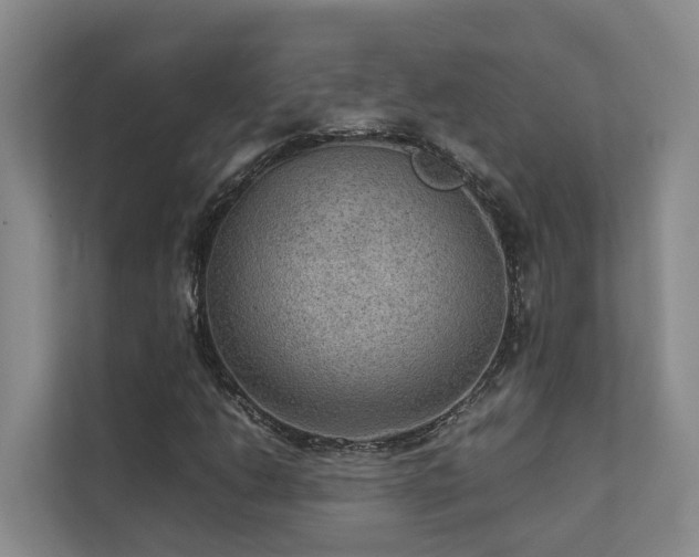 X0000111351206200907101203