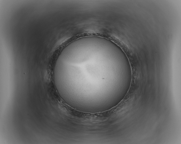 X0000111351207200907101203