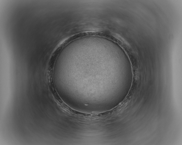 X0000111351208200907101203