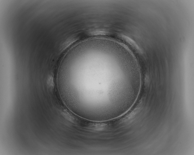 X0000111351209200907101203