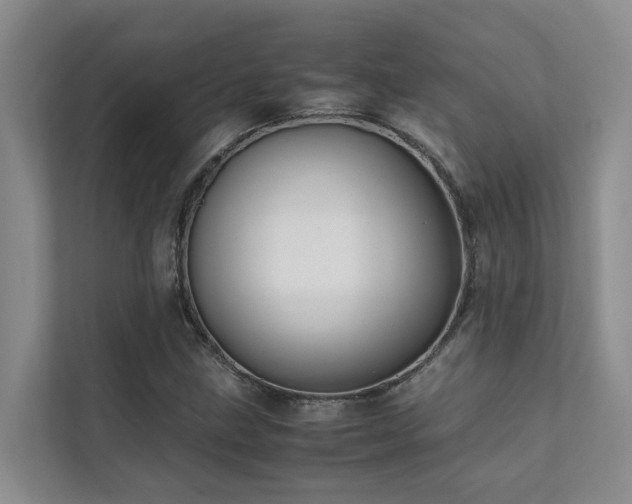 X0000111351211200907101203