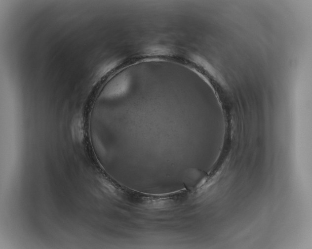 X0000111351213200907101203