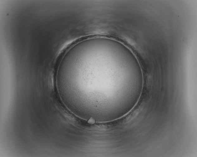 X0000111351214200907101203