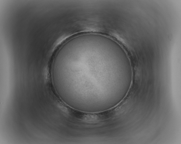 X0000111351215200907101203