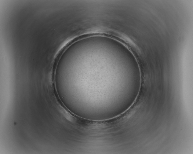 X0000111351216200907101203