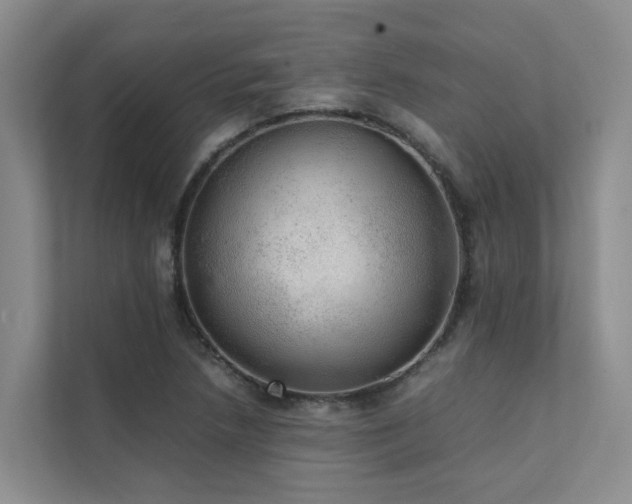 X0000111351218200907101203